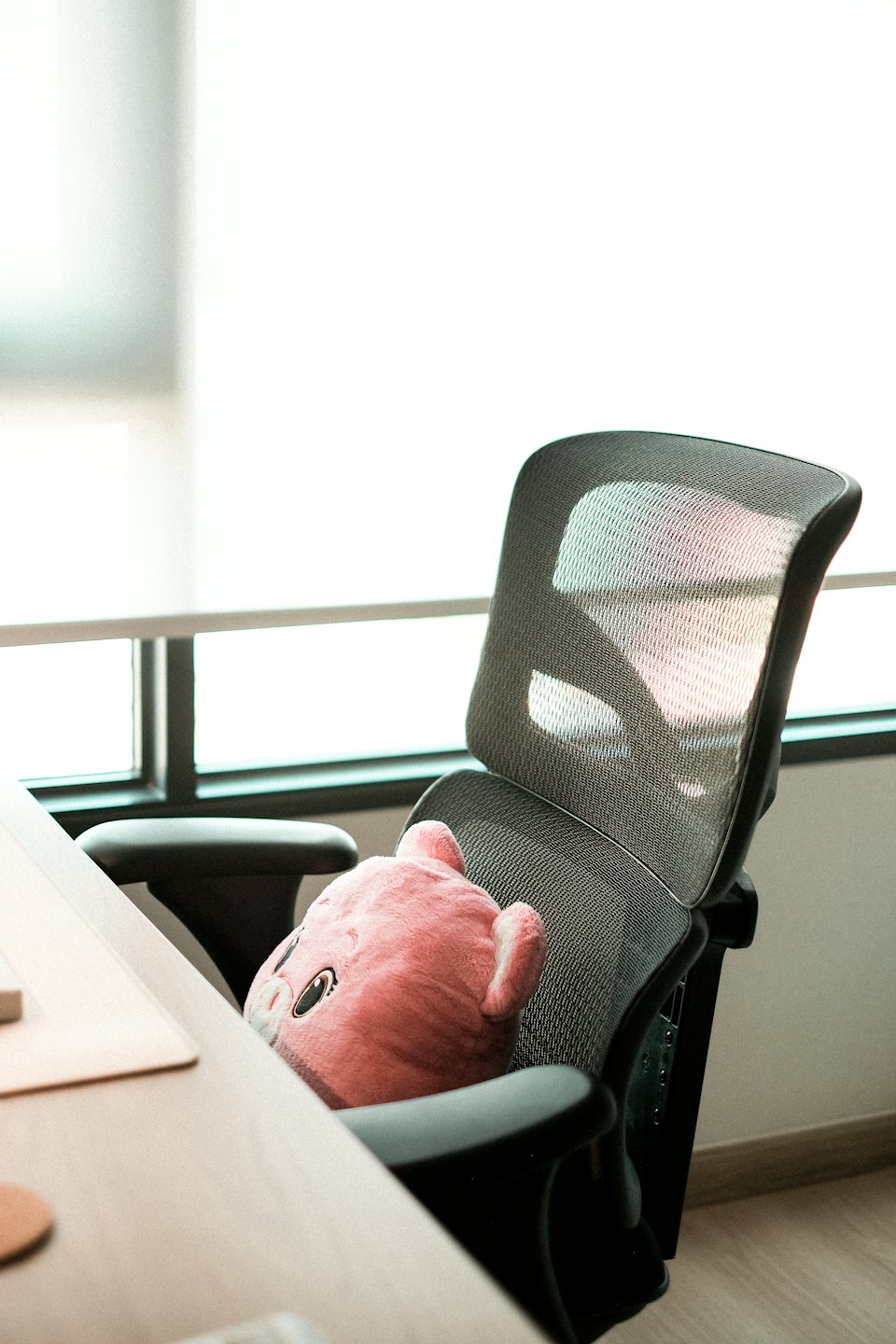 Un maialino di peluche rosa spunta da dietro una scrivania.